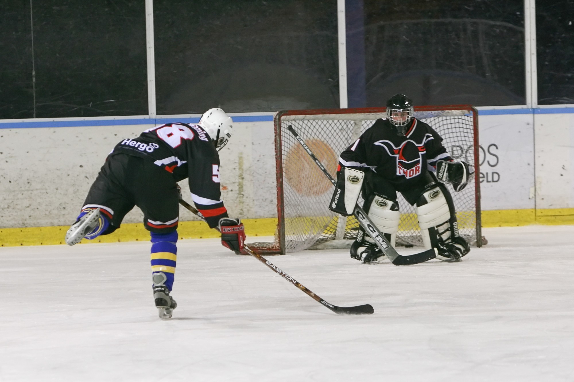 IJshockey-clinic Thor